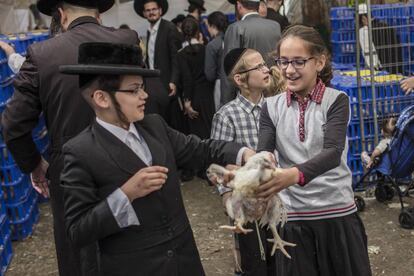 Niños ultraortodoxos en Jerusalén, el pasado septiembre. 