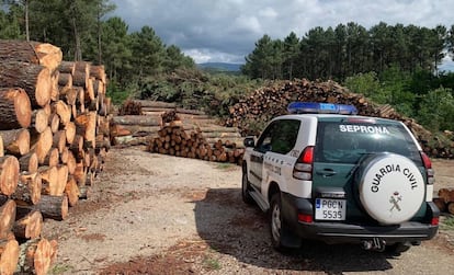 Un coche de la Guardia Civil en la empresa que vendía madera infectada.