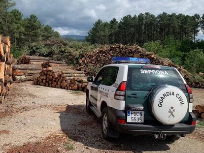 Un coche de la Guardia Civil en la empresa que vendía madera infectada.