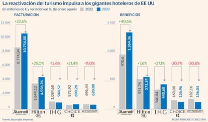 Hoteleras Gráfico