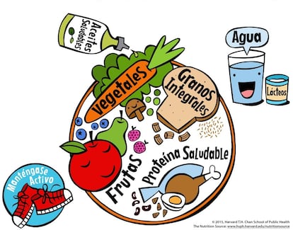 Imagen de El Plato para Comer Saludable para Niños.