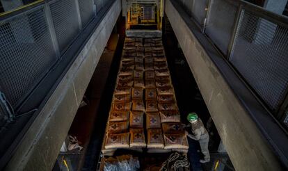 Los bultos de cemento, en la fábrica.