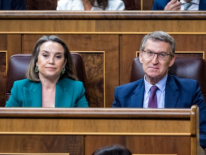 La secretaria general del PP, Cuca Gamarra, y el líder del partido, Alberto Núñez Feijóo, durante la sesión de control al Gobierno en el Congreso del miércoles.