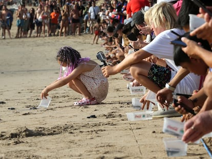 Un grupo de turistas libera tortugas en el océano en la playa de Kuta, Bali, Indonesia.