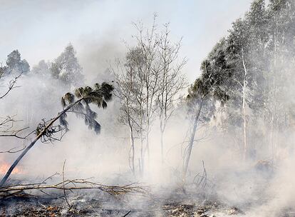 "Ciertos paisajes, al igual que los seres humanos, poseen superficie, forma, temperatura y de un modo alma. Por otra parte he atravesado accidentes, alteraciones de la naturaleza como pueden ser tormentas de nieve o incendios que me han hecho reflexionar sobre este aspecto cambiante y violento de la vida".