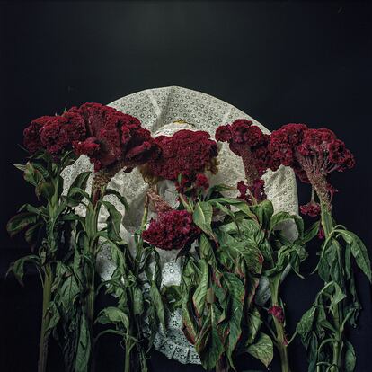 Otra imagen de la serie de Armenakyan 'Red Black White'.