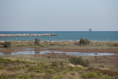 El Delta del LLobregat, en El Prat.