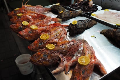 Pescados brujo en oferta en los restaurantes de Puerto Ayora.