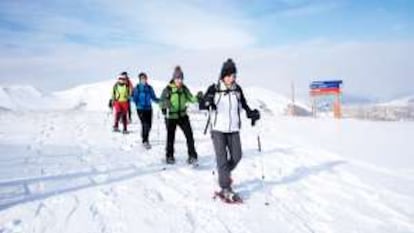 Una excursión con raquetas de nieve en La Molina (Pirineo catalán).