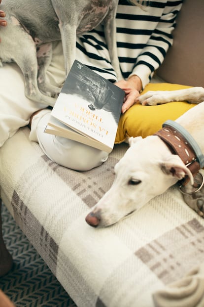 Montesdeoca with her dog Pink on top of her and Mia, her daughter Carlota’s dog, relaxing on the sofa.