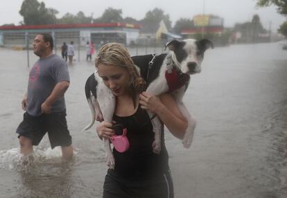 Residentes de Houston caminham pelas águas depois serem retirados de suas casas no domingo. O presidente dos EUA, Donald Trump, deve visitar zona nesta terça.