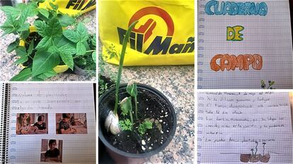 Cuadernos de Campos. Producciones de estudiantes de quinto curso de Primaria