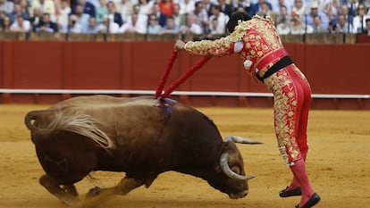 El diestro Morante de la Puebla, pone las banderillas a su segundo toro en la Real Maestranza de Sevilla.