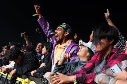 Asistentes al concierto de la banda estadounidense LCD Soundsystem en el Parque Bicentenario.