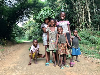 Unos niños regresan a casa tras recoger comida en los bosques aledaños al río Aruwimi, en el norte de la RDC. Llevan hojas de casava, frutas y orugas envueltas en paquetes de hojas de plátano. En la cuenca del Congo, millones de personas dependen del bosque.