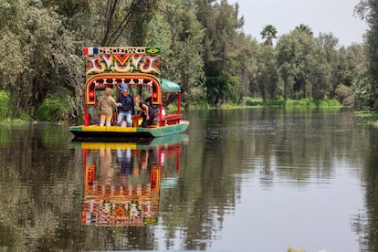 Trajineras dan el recorrido a los turistas que visitan el canal de Cuemanco en la Ciudad de México.