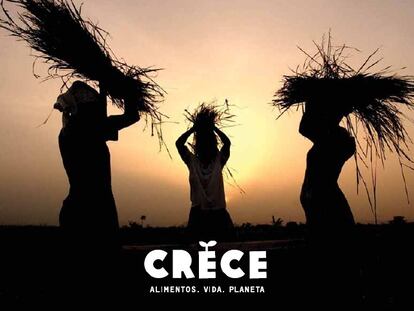 Un sistema alimentario roto