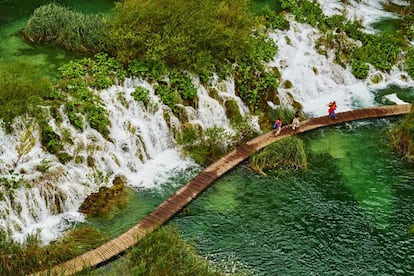 Los lagos Plitvice, en Croacia, se encuentran dentro de la zona que se puede visitar (mediante senderos y puentes de madera) del parque nacional del mismo nombre: 16 lagos a diferentes altitudes, conectados por cascadas y rodeados de bosques, sobre todo hayedos. En este parque viven osos, lobos y numerosas especies raras de aves.