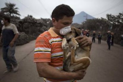 Man flees danger carrying his dog.