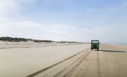 La playa del Parque Nacional de Doñana, con 28 kilómetros de longitud, es una de las costas vírgenes más amplias de Europa.