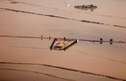 Una vista muestra los arrozales destruidos de la Albufera en una zona afectada por fuertes lluvias que provocaron inundaciones cerca de Valencia, España, el 31 de octubre de 2024.