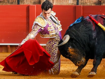 Tomás Rufo muletea de rodillas al tercero de la tarde.