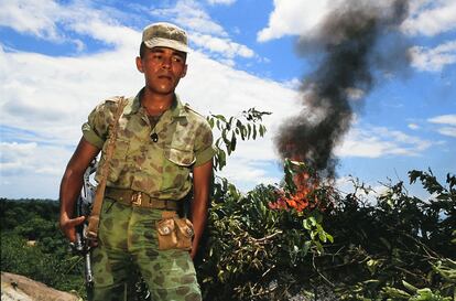 Destrucción de hojas de coca en Puerto Boyacá, en 1989.