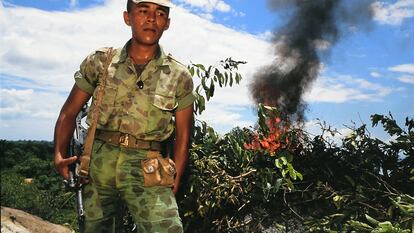 Destrucción de hojas de coca en Puerto Boyacá, en 1989.