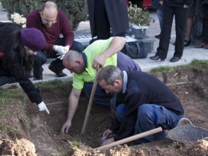 Exhumación en una fosa común de Alicante por la investigación de los bebés robados.
