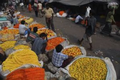 Varios vendedores muestran sus cargamentos de flores a la venta en un mercado de flores en Calcuta (India). EFE/Archivo