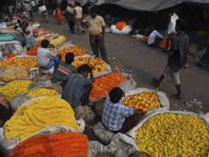 Varios vendedores muestran sus cargamentos de flores a la venta en un mercado de flores en Calcuta (India). EFE/Archivo