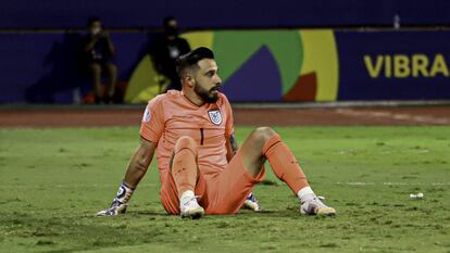 Hernán Galíndez, hace un año en la Copa América durante el Argentina-Ecuador.