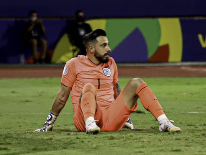 Hernán Galíndez, hace un año en la Copa América durante el Argentina-Ecuador.