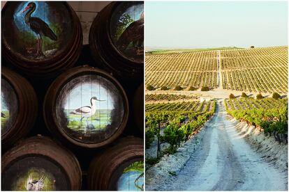 Bodegas Barbadillo, en Sanlúcar, tiene un Museo de la Manzanilla y botas [barricas] en homenaje a la fauna de Doñana. A la derecha, vides sobre tierra albariza en las vistas desde la Viña El Majuelo (Fundador).