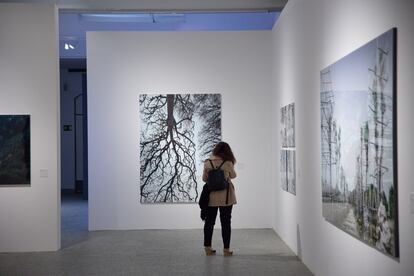 PHotoEspaña 2023 inauguró este miércoles, con un acto en el en el Jardín Botánico de Madrid, una edición con más de un centenar de exposiciones que giran en torno a tres ejes temáticos que se entrelazan y dialogan entre sí: arte, medioambiente y género, con muestras de artistas como Marina Abramovic o Louis Stettner. Casi todas las muestras podrán verse en la capital, aunque también en otras ciudades como Valladolid, Zaragoza, Santander, Barcelona y Almería.