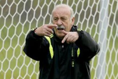 El seleccionador Vicente Del Bosque.