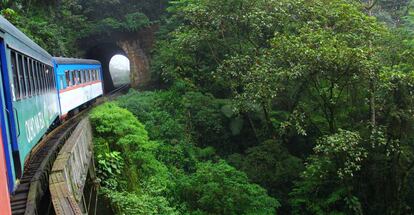 Curitiba (Brasil).