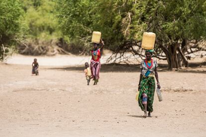 Mujeres turkanas cargando agua en el desierto de Kenia. / Kennedy Saitoti Omufwoko