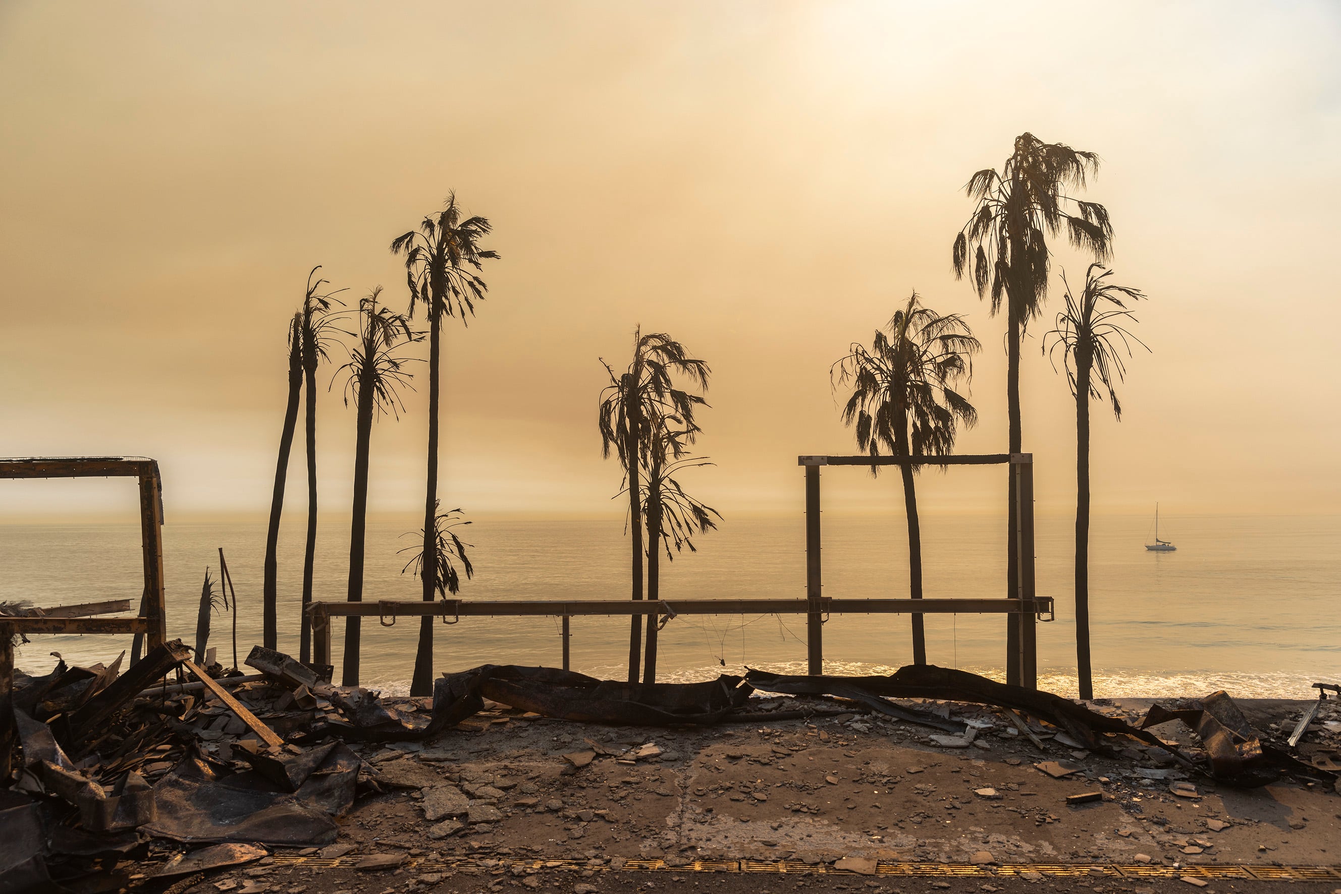El fuego que arrasó el ‘California dreaming’: “Sabíamos que esto iba a ocurrir tarde o temprano” 15 Varias palmeras sobreviven al incendio 'Palisades', que ha arrasado Malibú, en Los Ángeles.
