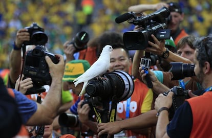 Una de las palomas lanzadas al aire durante la ceremonia de apertura de la Copa del Mundo, se posa en el objetivo de uno de los fotógrafos antes del partido entre las selecciones de Brasil y Croacia, el 12 de junio de 2014.