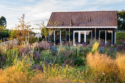 El jardín del paisajista Jelle Grintjes en Países Bajos.
Fotografía: Claire Takacs.
