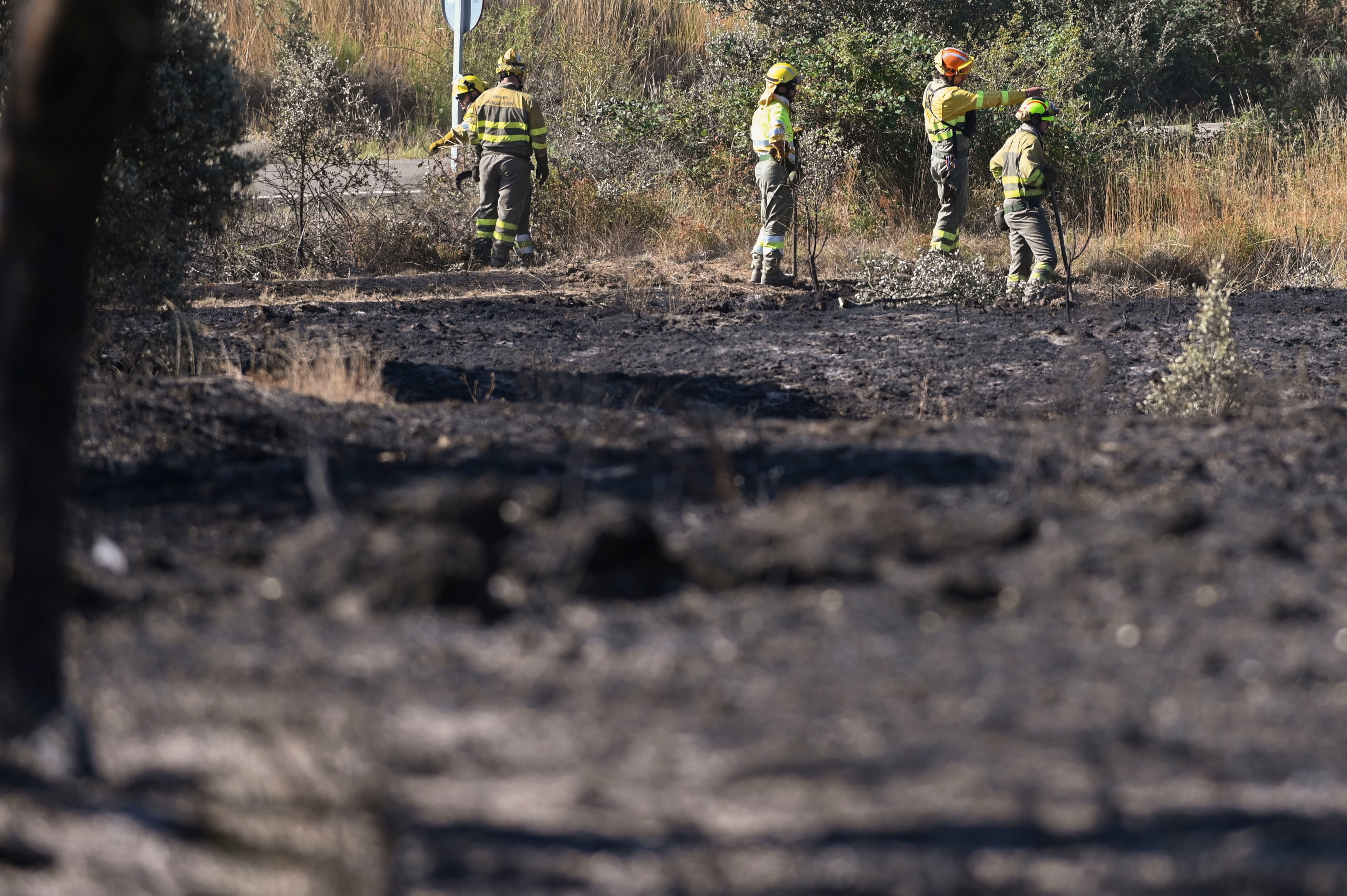 Detenido un peregrino por provocar un incendio que ha quemado 800 hectáreas en León 