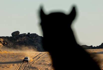 Un camello observa el paso del Toyota de Benediktas Vanagas y Szymon Gospodarczyk, durante la segunda etapa del Dakar 2025.