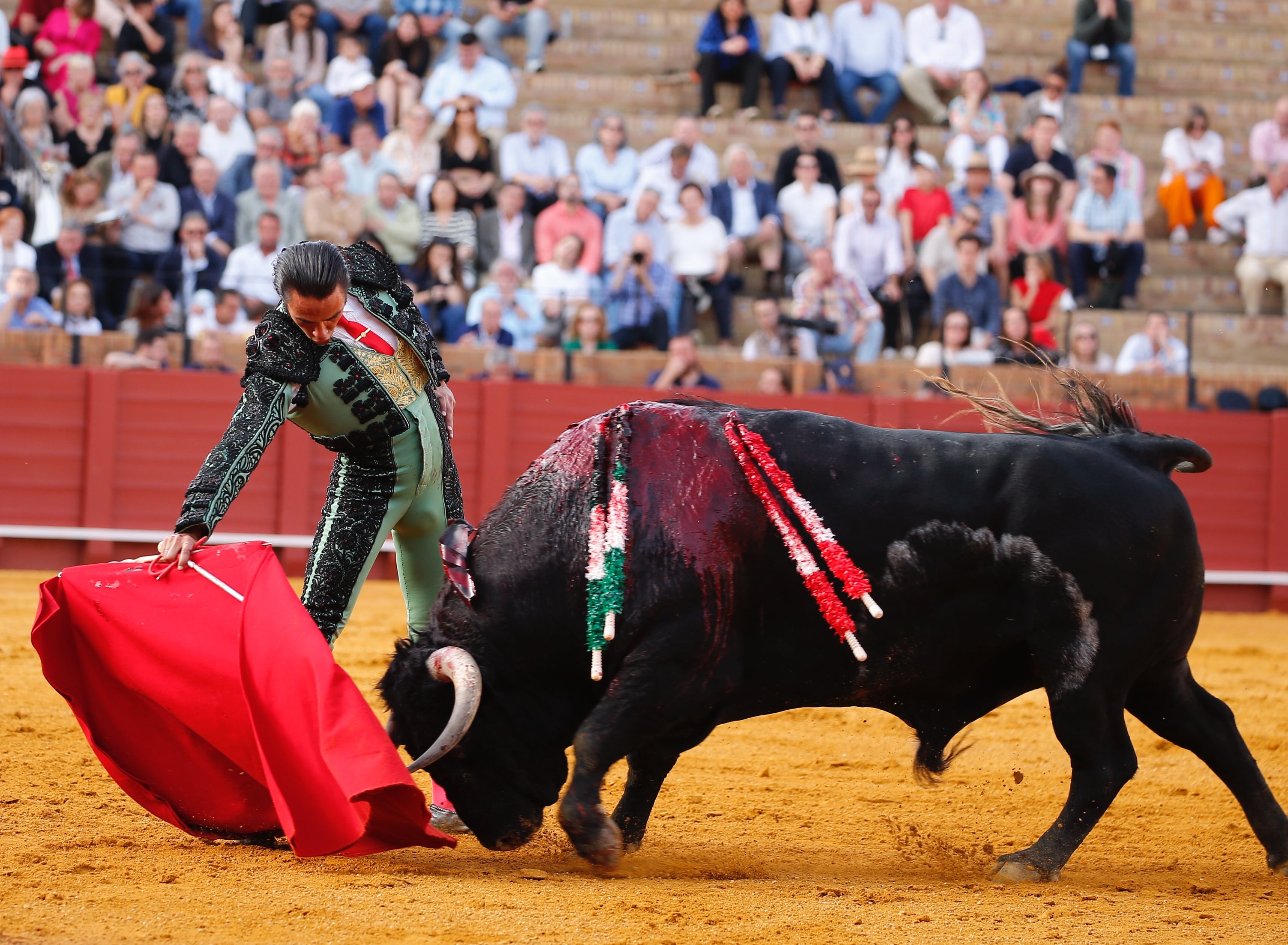 José Ruiz Muñoz, sobrino nieto de Curro, un fino torero inmerso en un doloroso drama familiar