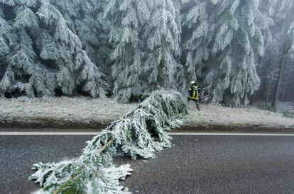 Un bombero retira un árbol derribabo por el viento la nieve y el hielo en Ottenschlag, Austria. Día 3 de diciembre de 2014.