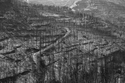 Los bosques son sumideros de CO2, pero la escasa humedad, por las olas de calor frecuentes, provoca que los incendios sean cada vez más devastadores y probables. El Pont de Vilomara, en la comarca del Bages (Barcelona).
