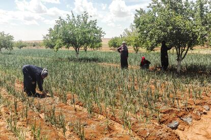 Algunas de las vecinas se dedican a trabajar en los campos alrededor de la aldea.