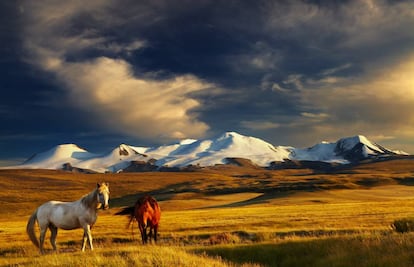 Dos caballos en la meseta de Ukok, en la frontera entre Rusia, Mongolia y China.