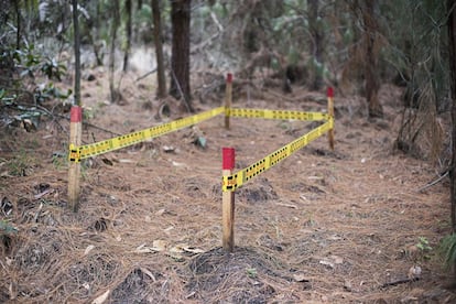 Esta pista, ubicada en la parte alta del campo de pruebas a la que se llega solo caminando, simula el área de trabajo que suelen demarcar los desminadores para limpiar un terreno contaminado por minas