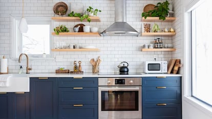 Trampas de hormigas para tu casa, enfocado en la cocina